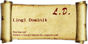 Lingl Dominik névjegykártya